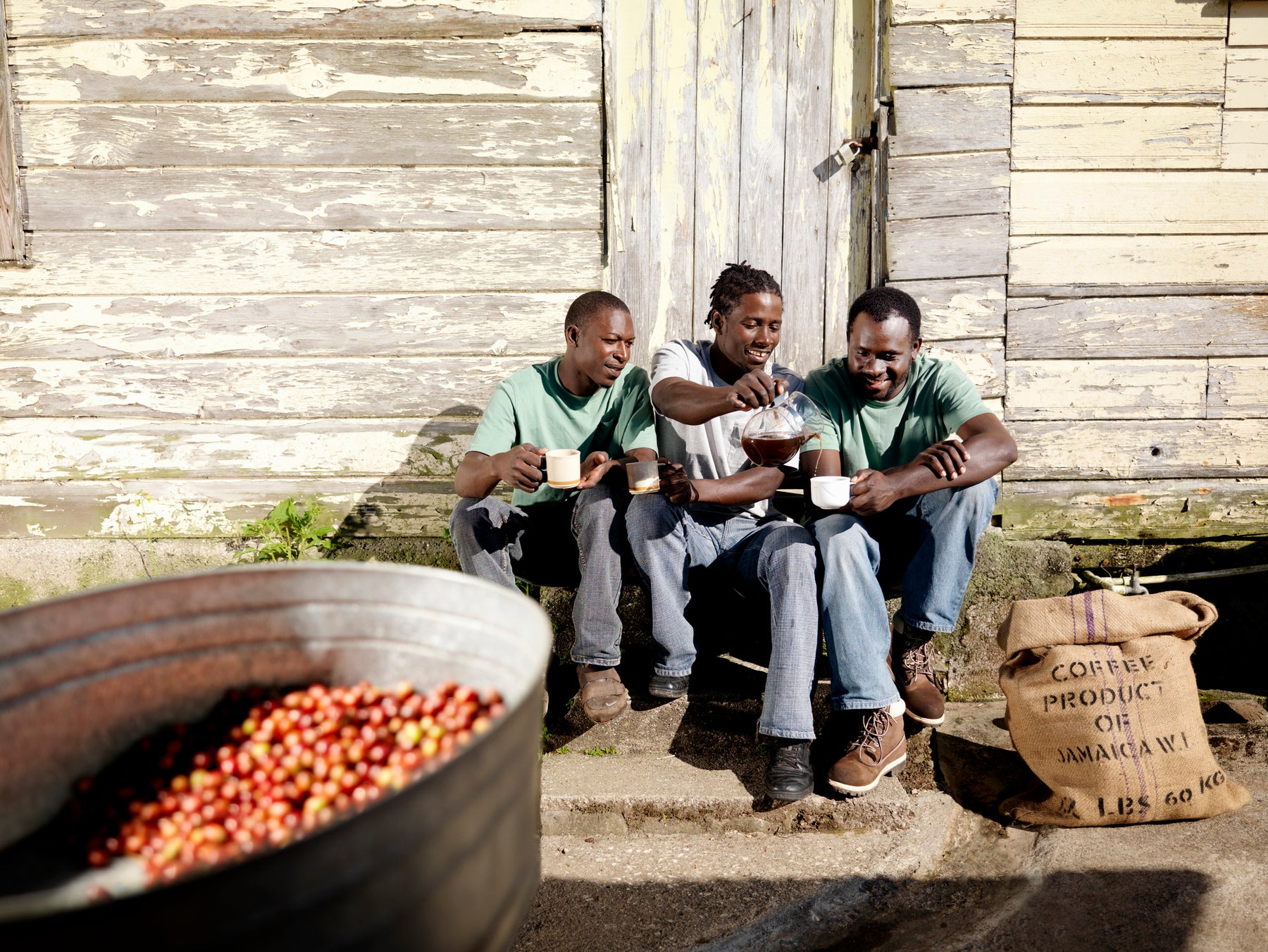 3 Jamaican men enjoying a cup of coffee on coffee farm
